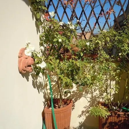 In Centre Of Florence, Balcony And Terrace With Amazing View Apartment Florence